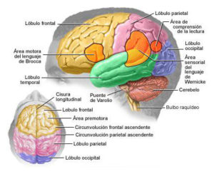 El_Putt_Central-Afinar_el_Putter_04